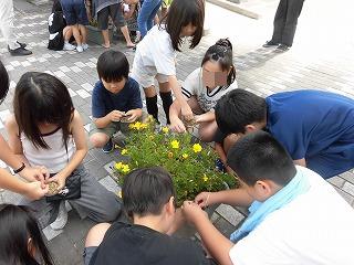 20260920gakuensyou3nentanekansatsu