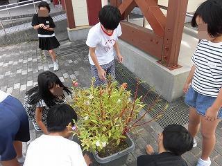 20260920gakuensyou3nenrikataneatsume2