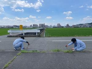 データに基づく現地確認の様子