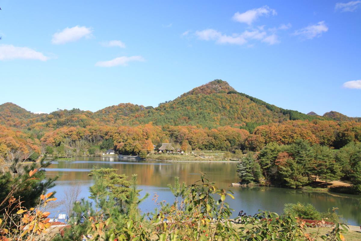 有馬富士と福島大池