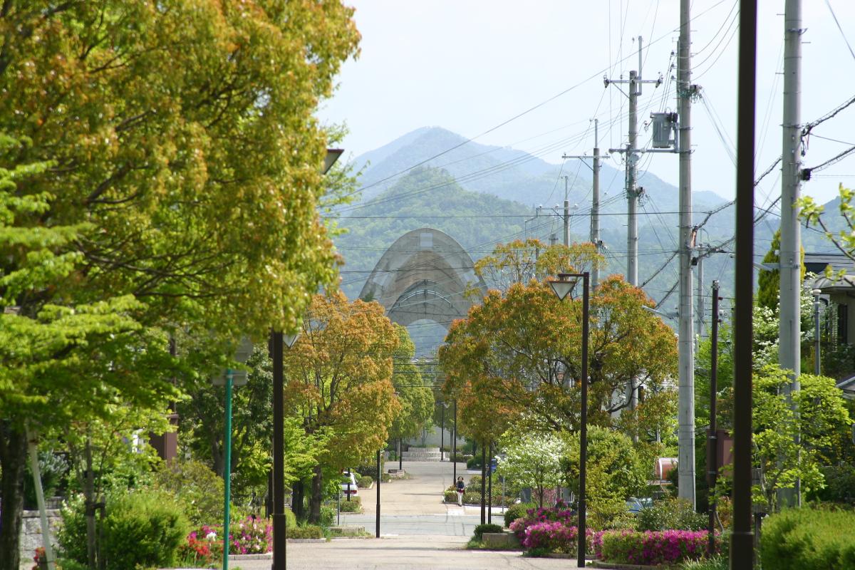 センチュリー大橋