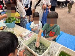 藍染体験
