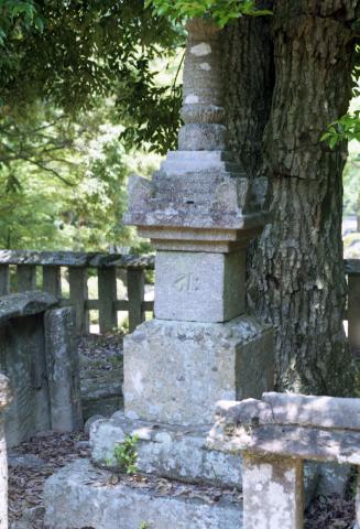 大木の下に、古びた石造りの小さい塔が鎮座している写真
