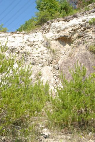 藍地区でみられる断層地形を撮影した写真