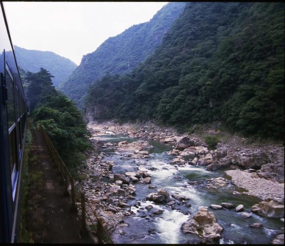 緑の山と清流が美しい「武庫川渓谷」の写真