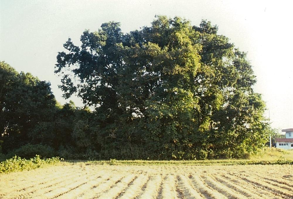 貴志古墳群2号墳