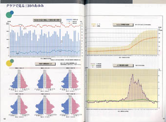 カラーのグラフが複数掲載されている「さんだのあゆみ1998-2008」のページ見本
