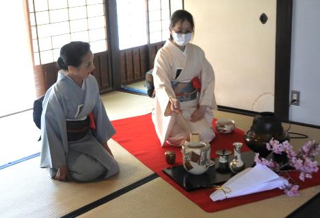 さくら茶会イメージ