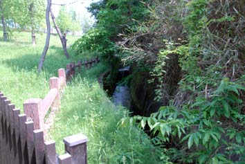 木の策と水路、植物が生い茂る道の写真