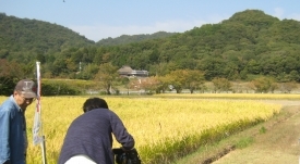 三田市のブランド米山田錦が実った田んぼの様子を撮影する男性カメラマンとその左横のキャップを被った生産者の男性の写真