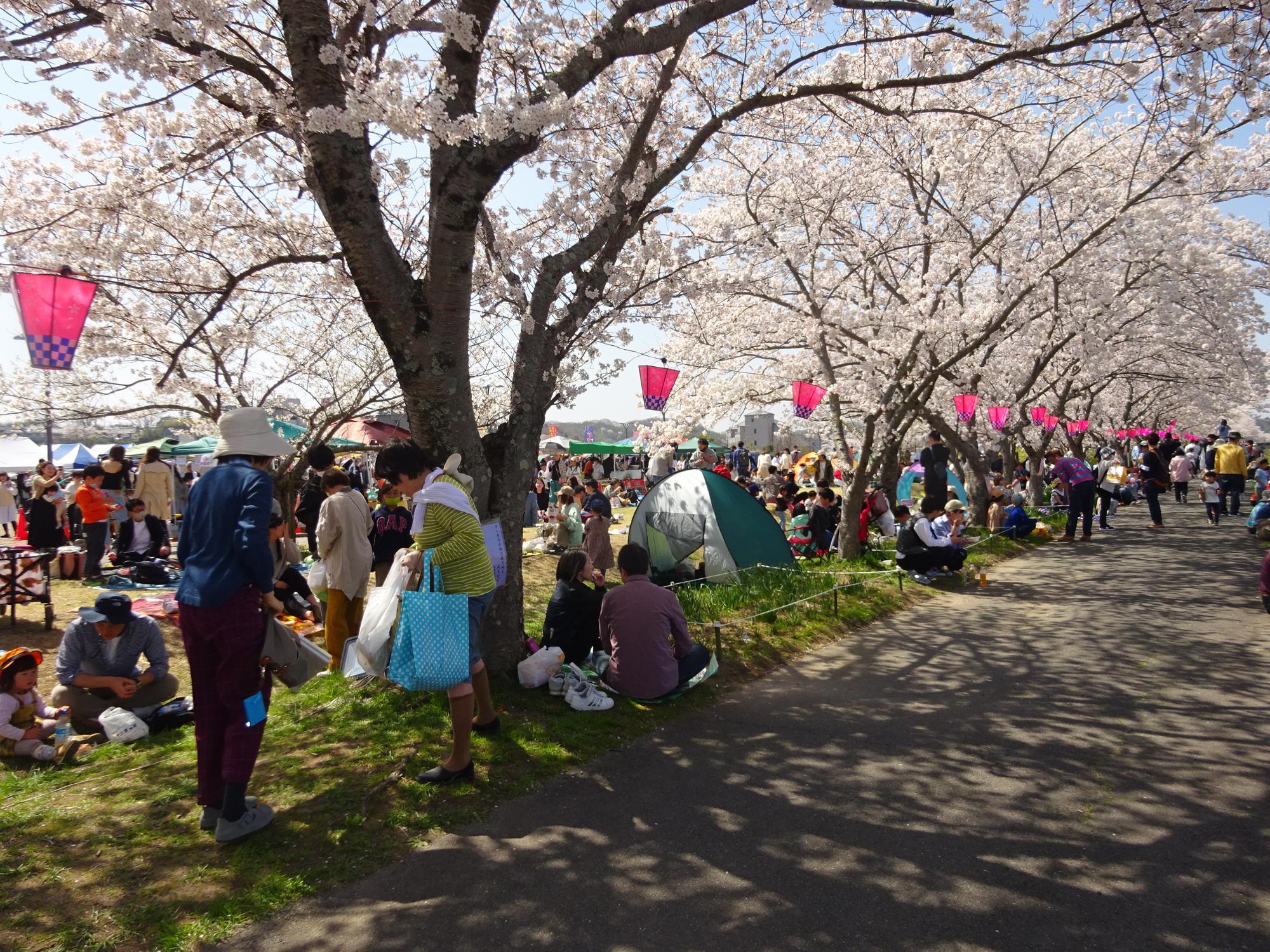 三田さくらまつり2026