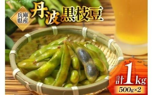 梵天‗丹波黒大豆枝豆