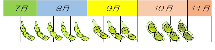 三田市の枝豆のスケジュール表