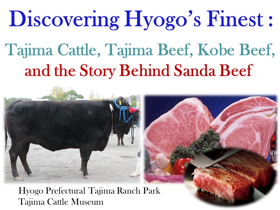 page01_discoveringhyogosfinest_english