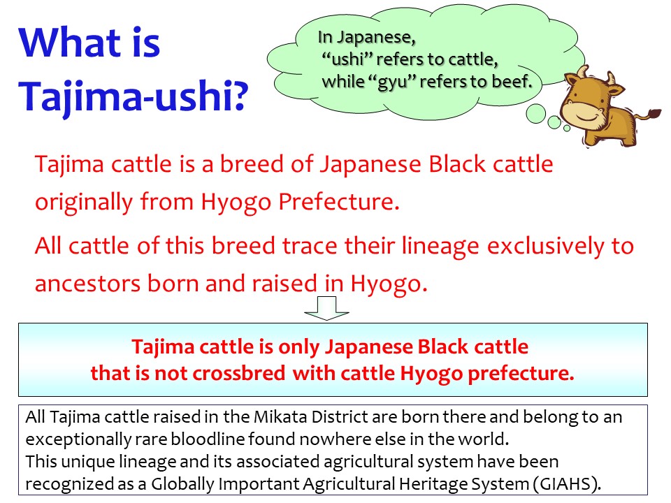 page02_discoveringhyogosfinest_english