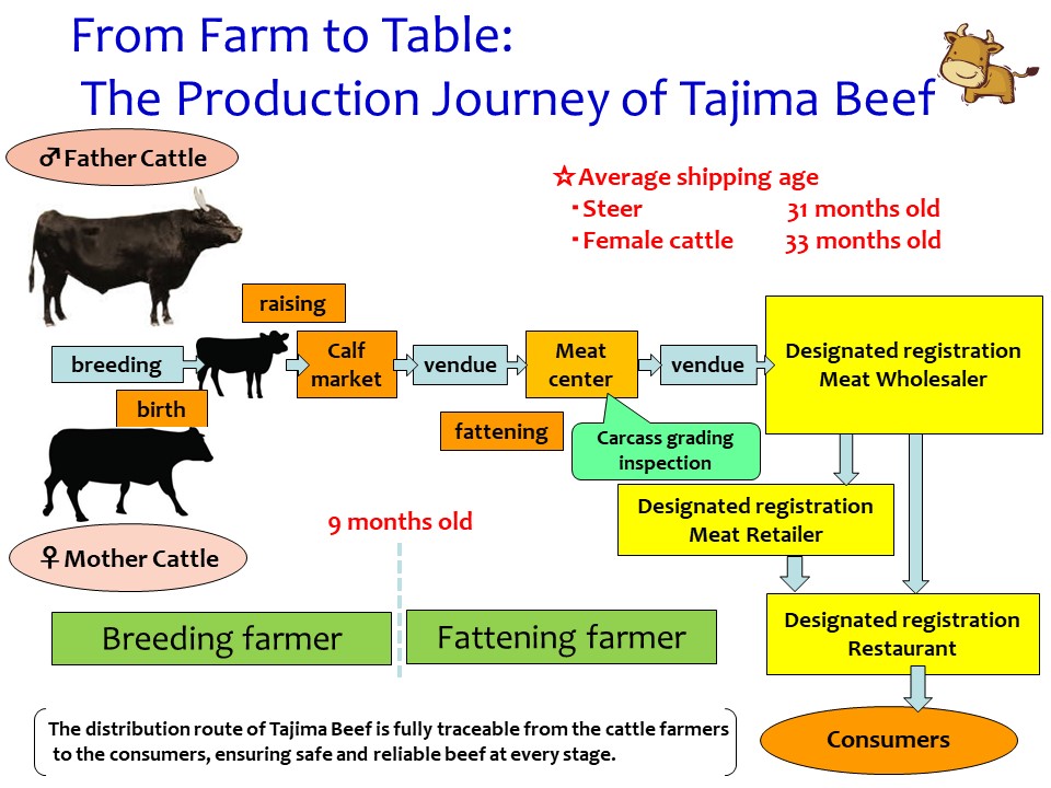 page03_discoveringhyogosfinest_english