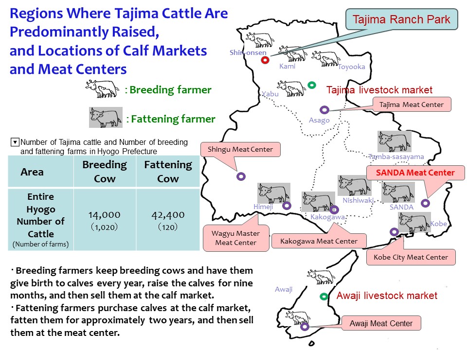page04_discoveringhyogosfinest_english