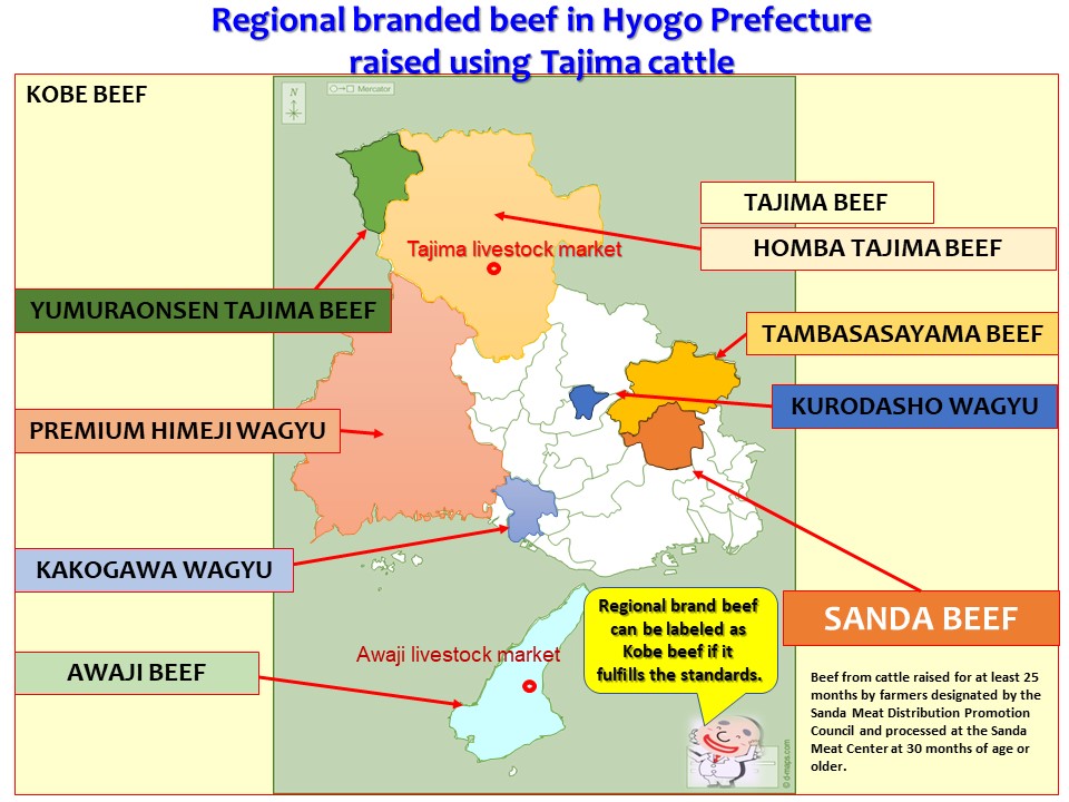page07_discoveringhyogosfinest_english