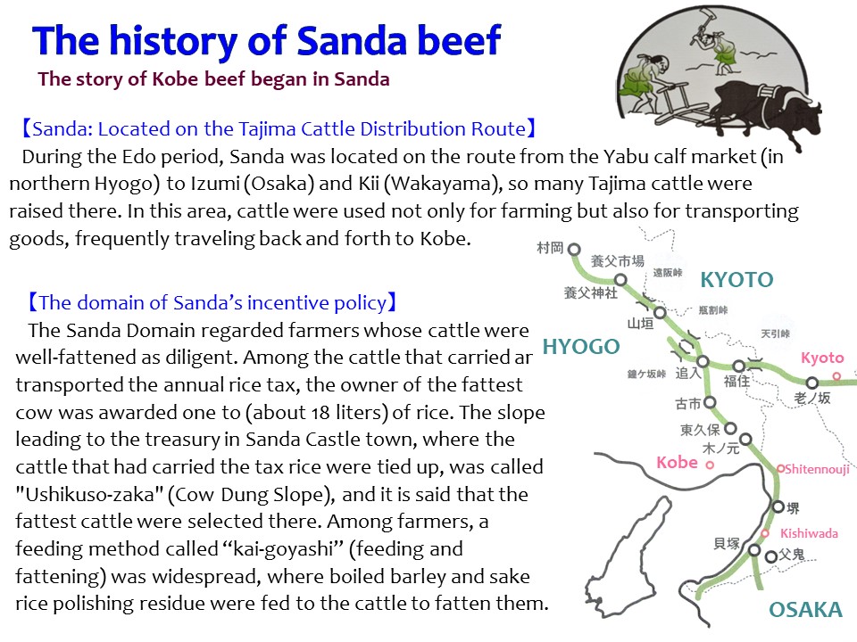 page08_discoveringhyogosfinest_english