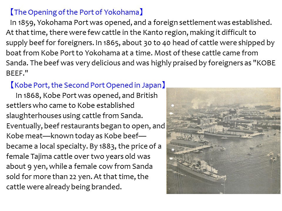 page09_discoveringhyogosfinest_english