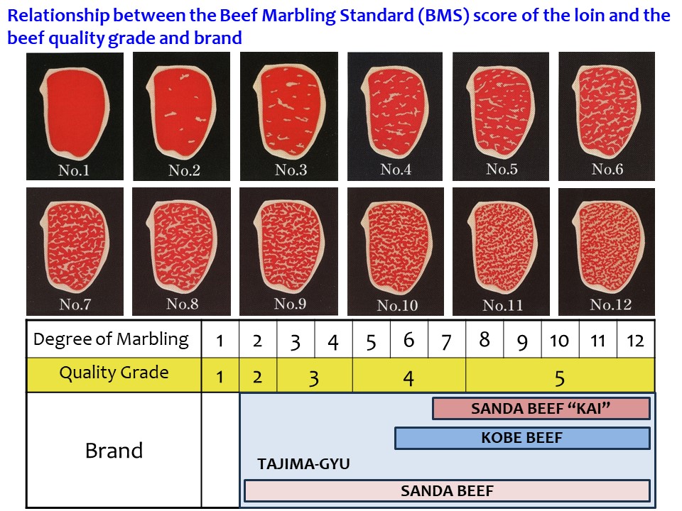 page11_discoveringhyogosfinest_english