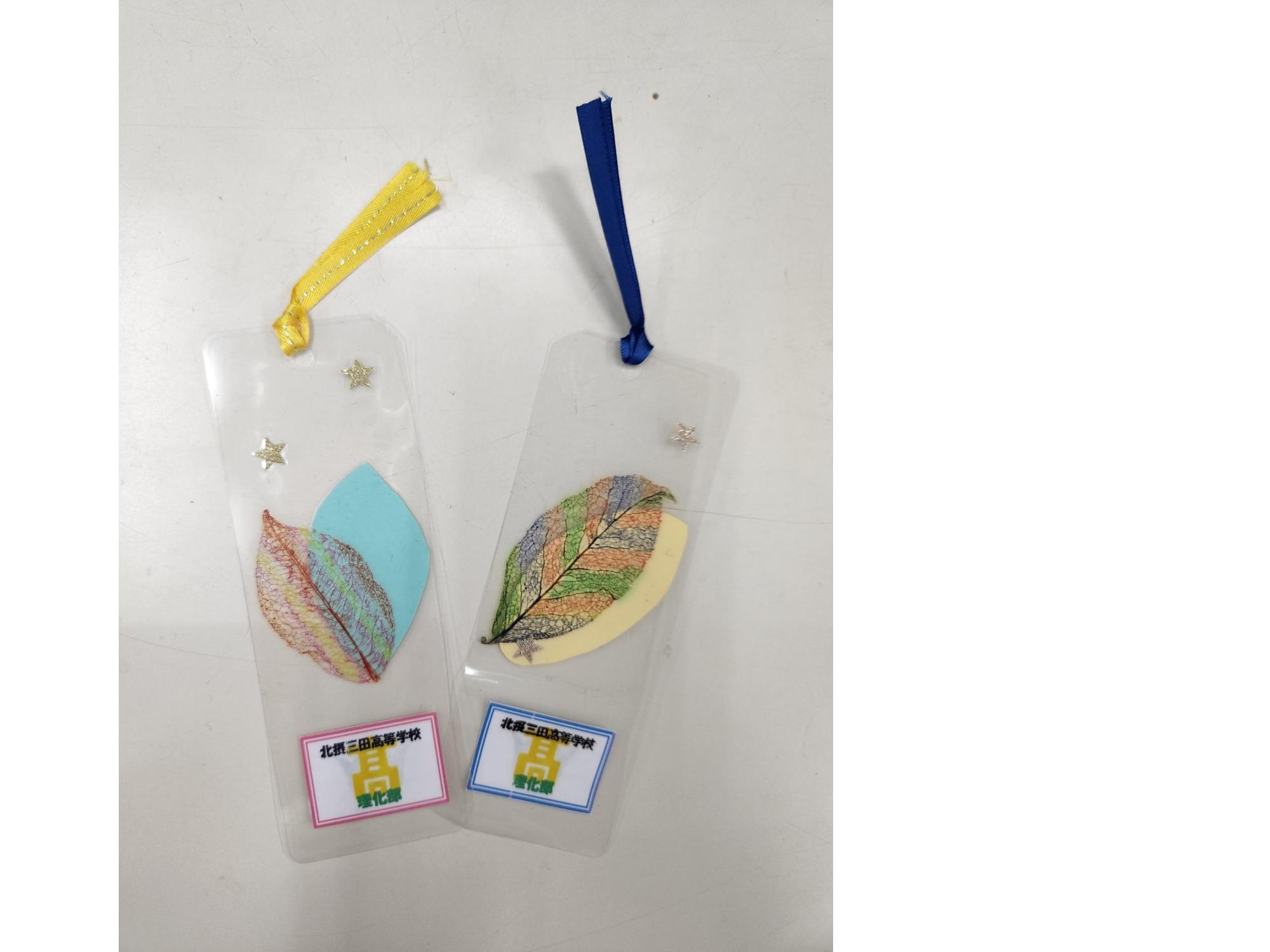 葉脈標本の見本