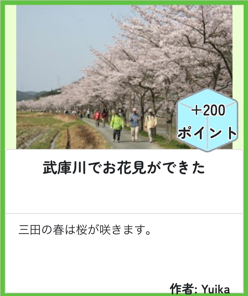 武庫川の桜のマス