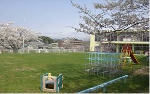 広野幼稚園芝生の園庭