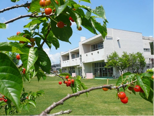 三輪幼稚園の芝生の園庭