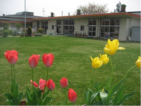 三田幼稚園の芝生園庭