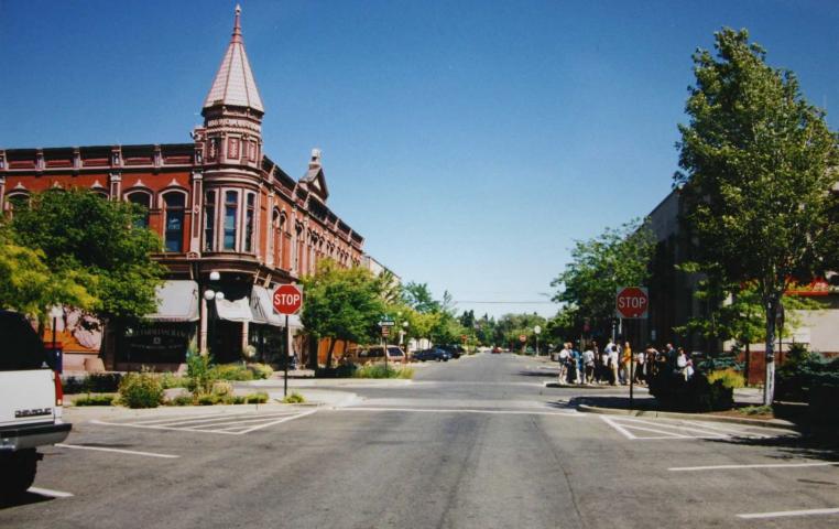 青空に緑の街路樹が映えるキティタス郡の街並みの写真