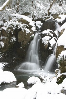 冬の青野川渓谷の写真。石に雪が積もっている