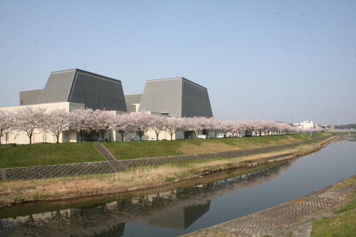 武庫川の写真。川沿いにきれいに咲いた桜の木が並んでいる。