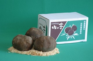 石のような見た目の三田の特産品の芋の写真