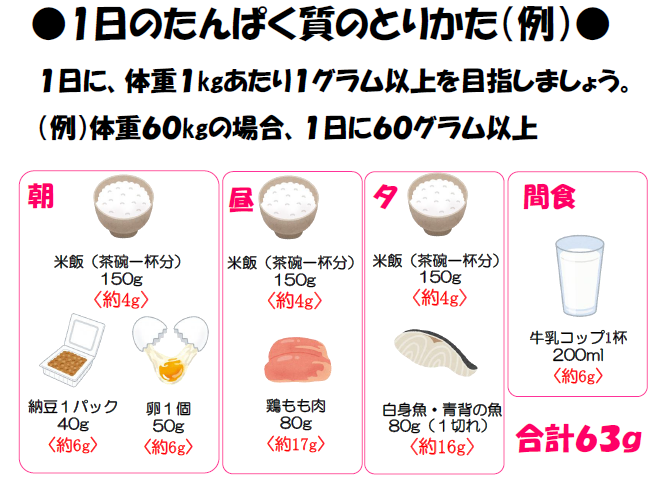 1日のたんぱく質のとりかたの例