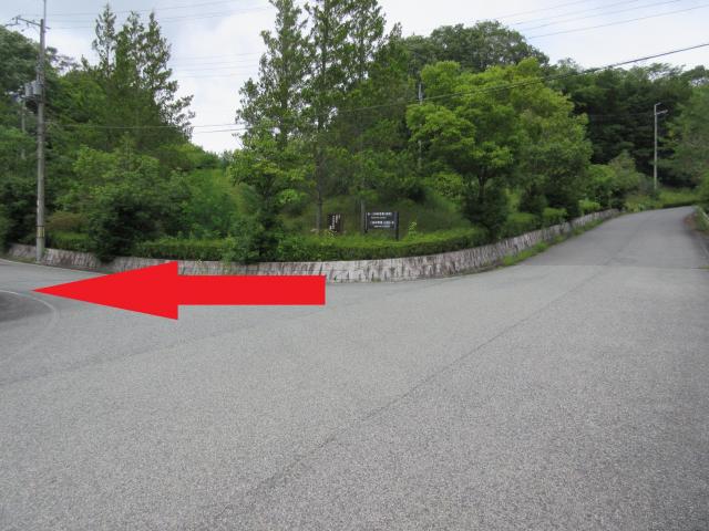 緑のなか、前方と左手に道が続き、左に向いて赤い矢印が見える写真