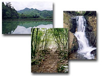 湖や森、滝の三枚の風景写真