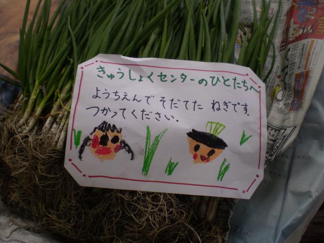 「給食センターの人たちへ 幼稚園で育てたネギです。使ってください。」と手紙が添えられたネギの写真