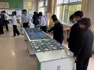 展示見学