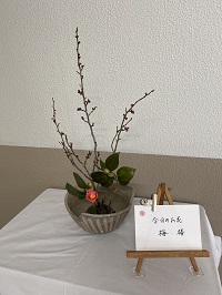 白いテーブルの上に飾られた梅と椿の写真