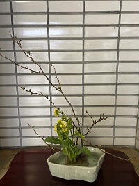 黄色の小さな菜の花とダイナミックな枝が印象的な生花の写真