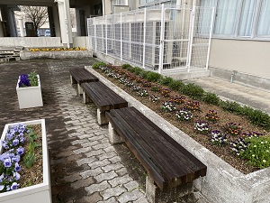 濃い茶色の細長いベンチが3つ並ぶ横に花壇があり、綺麗に花が並んで植えられている様子の写真