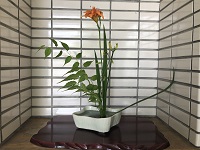 白い浅い鉢にきれいに生けられたオレンジ色の花の写真