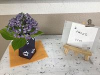 は
