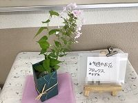 は