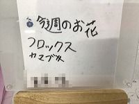 は