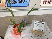 は
