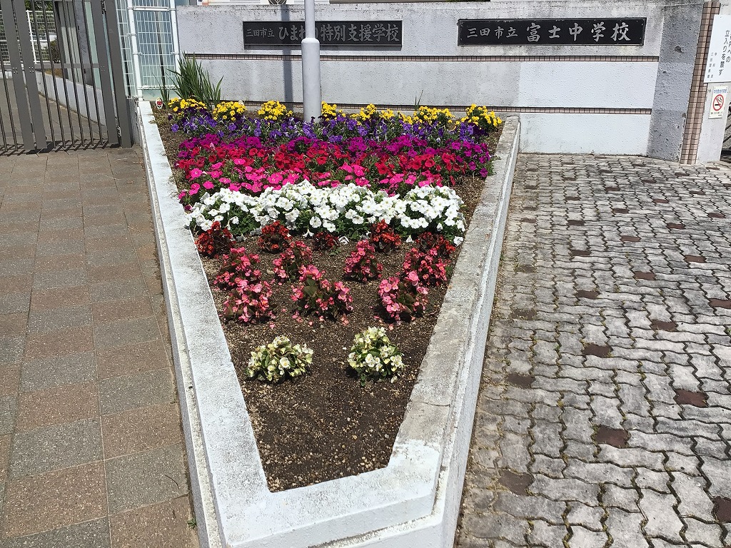 校門のお花6月1