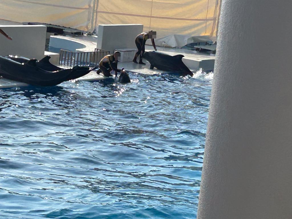 須磨シーワールド2