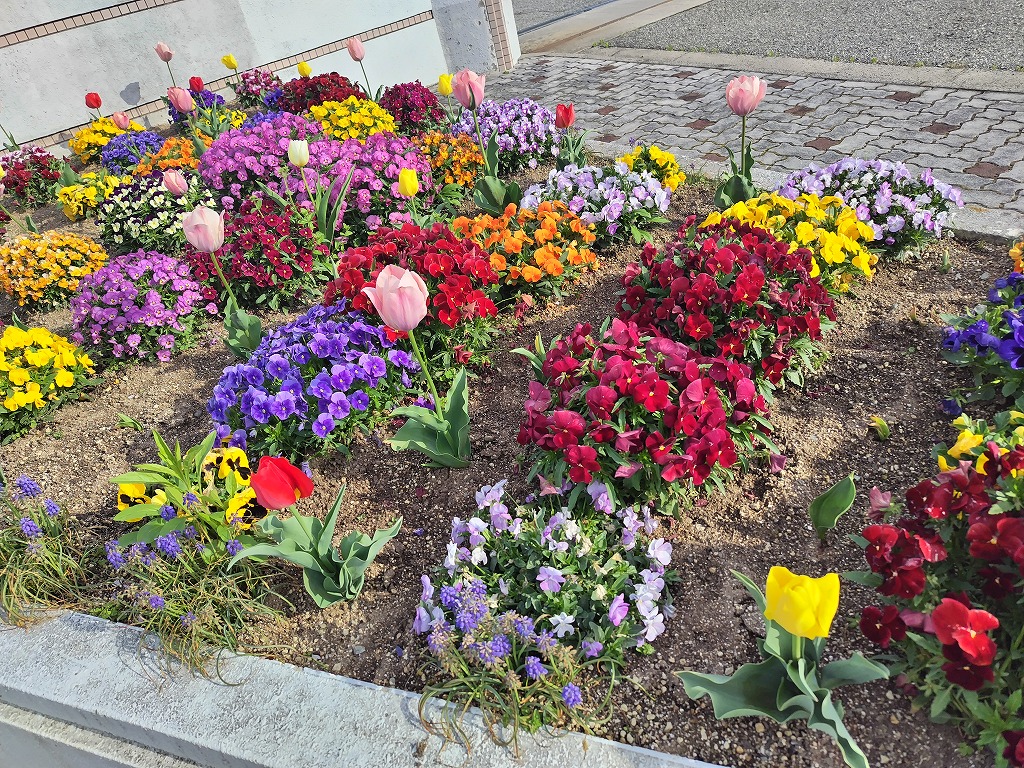 4月の花2